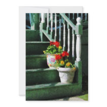 Geraniums and Pansies on Steps Personalized Invite