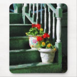 Geraniums and Pansies on Steps Mousepads