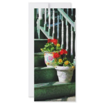 Geraniums and Pansies on Steps Customized Rack Card
