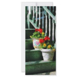 Geraniums and Pansies on Steps rack cards