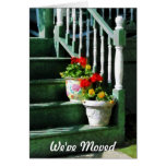 Geraniums and Pansies on Steps - We've Moved Card