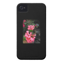 Geraniums. Pelargonium flowers. iPhone 4 Cases