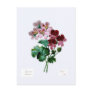 Geraniums Postcards