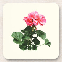 Geraniums Standing Tall cork coasters