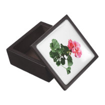 Geraniums Standing Tall premium gift boxes