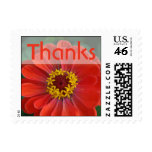 Gerbana Daisy Floral Thank You Wedding Postage