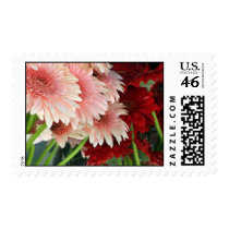 gerber daisies postage by claudiala gerber daisies postage