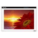 Gerber Daisy and sunset 17" Laptop Decal