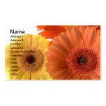 Gerber Daisy Business Cards