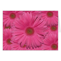 Gerber Daisy Card