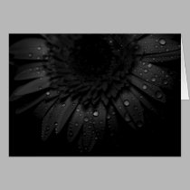 Gerber Daisy Close Up With Water Droplets cards by ChristianTravers Gerber Daisy Close Up With Water Droplets cards