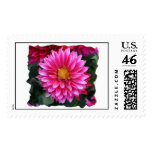Gerber Daisy Collage Postage