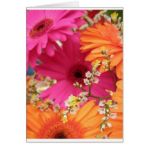 Gerber Daisy Greeting Cards