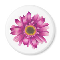 Gerber Daisy Magnet magnets