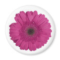 Gerber Daisy magnets by EveStock Gerber Daisy magnets