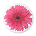 Gerber Daisy magnets by EveStock Gerber Daisy magnets