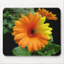 GERBER DAISY-MOUSEPAD