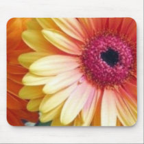 Gerber Daisy Mousepad mousepads