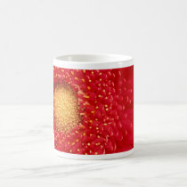 Gerber Daisy mugs