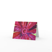 Gerber Daisy Notecards