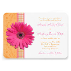 Gerber Daisy Pink Orange Plaid Ribbon Wedding Card