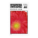 Gerber Daisy postage by dannamarie72 Gerber Daisy postage