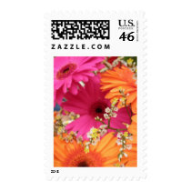 Gerber Daisy Stamps