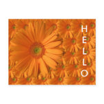 Gerber Daisy postcards