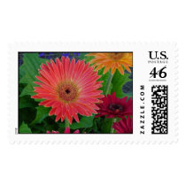 Gerber Daisy Stamp
