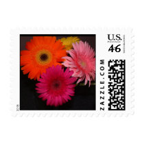 Gerber Daisy Stamp by bkang22 Gerber Daisy Stamp