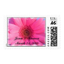 Gerber Daisy Stamp by jennhorton Gerber Daisy Stamp