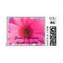 Gerber Daisy Stamp by jennhorton Gerber Daisy Stamp