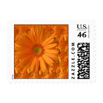 gerber daisy stamp small