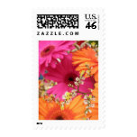 Gerber Daisy Stamps
