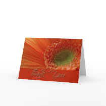 Gerber Daisy Thank you cards