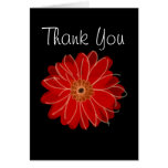 Gerber Daisy Thank You Card