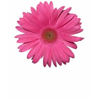 Gerber Daisy Tshirt shirt