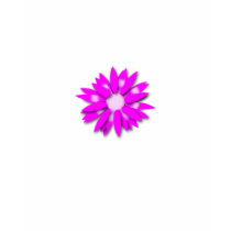 Gerber Daisy t-shirts by jaschlosser Gerber Daisy t-shirts