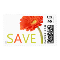Gerber Daisy Wedding Save The Date Stamp