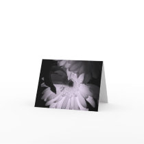 'Gerber Poetry'  Blank Note Card