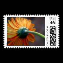 Gerbera 2 postage