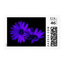 gerbera at night 1 stamps
