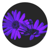 Gerbera at night 1 stickers