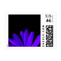 gerbera at night 2 postage