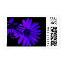gerbera at night 4 stamps