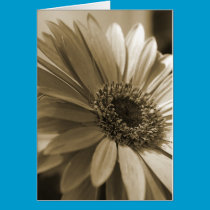 Gerbera Card