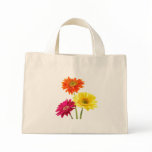 daisy, daisies, gerbera, gerbera daisy, gerbera