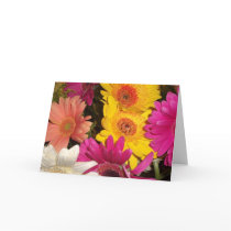 Gerbera Daisies Birthday Card Template
