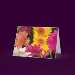 Gerbera Daisies Birthday Card Template