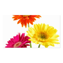 Gerbera Daisies Business Card Template
